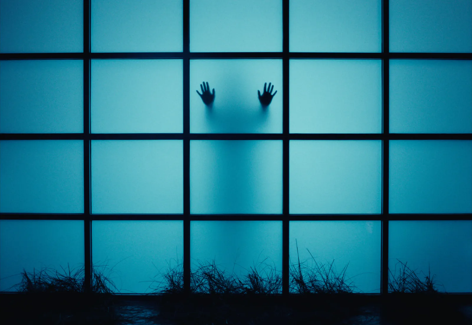 Two hands press against a backlit blue window grid above a fringe of dark grass.